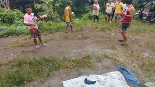 3rd fight win