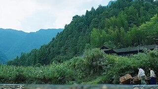 懒汉麻迷糊为爱做出改变