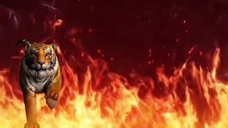 ! ! Thông báo quan trọng! !