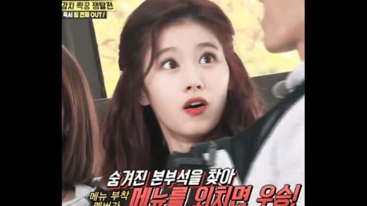 【SANA】你愿意养一只甜甜可爱的柴犬少女在家吗？(最后高能预警！)