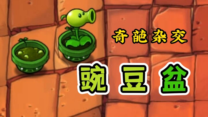 Eccentric Hybrid: Pea Pot