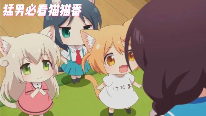 猛男必看 猫娘治愈番