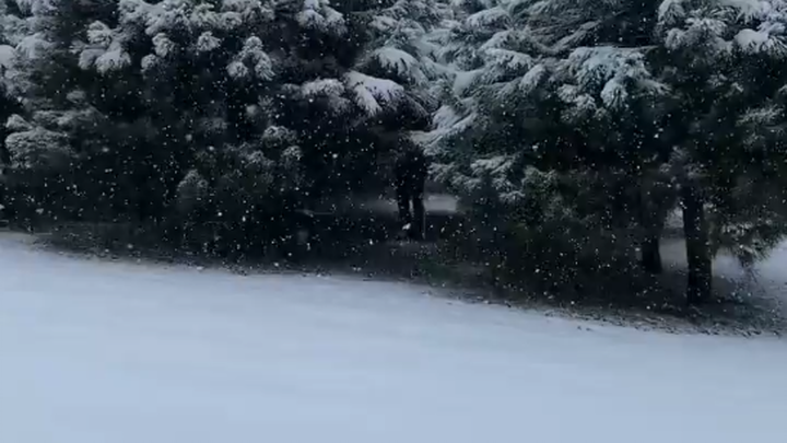 Freljord: Blund’s Snow-Eating Chronicles – Deluxe Edition