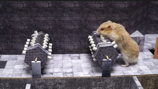 ภารกิจของหนูแฮมสเตอร์ EP 342