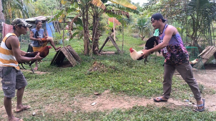 Spar ng 4yr old grey sa 11 months sweater gilmore.