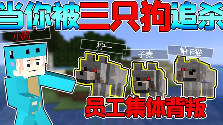 When your employee is reborn as 3 dogs chasing and trying to kill you! Minecraft Chase #5