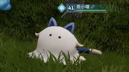 Quai Bảo, bạn đang uống nước tắm đó!