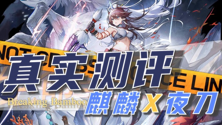 [Real Review 26] A Super Firecracker with DPS Over 10,000! Is This the True Power of a Genuine Limit