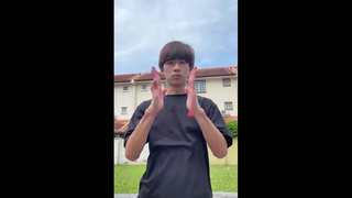 แพนด้า