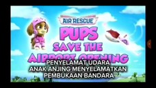 paw patrol Musim 11 Episode 6 Sub indonesia