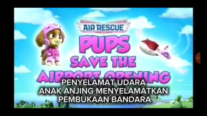 Paw patrol Musim 11 Episode 6 Sub indonesia
