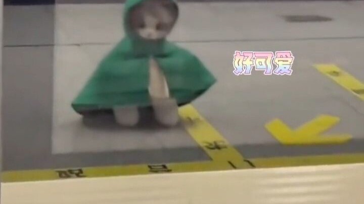 Meow, I’m off to save the world! Are you trying to charm everyone to death?