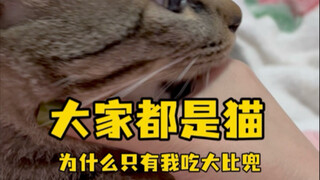San San: Semua orang adalah kucing, kenapa hanya aku yang makan Bigbi Dou? Diao Mimi: Kamu sendiri y