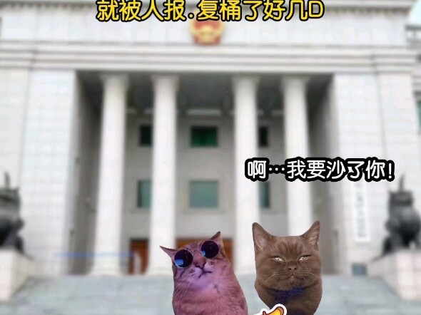《千胜小白》刚打赢官司出法院大门，就被人报.复桶了几D…