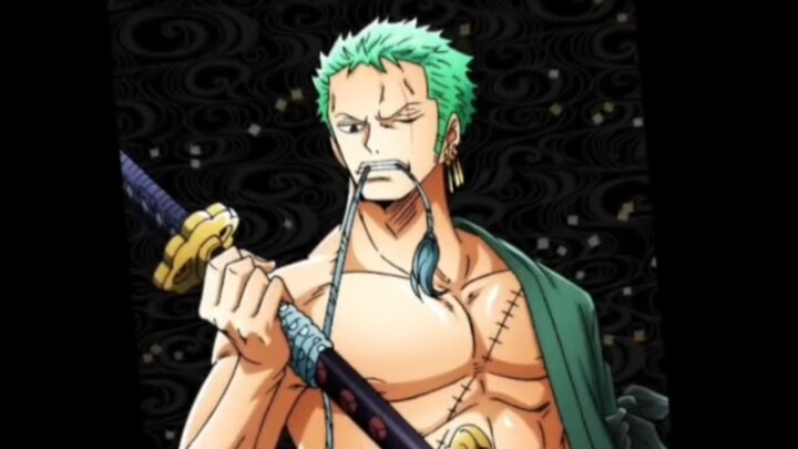 ZORO MY HUSBAND