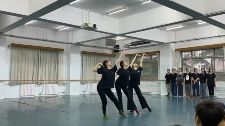 【中央民族大学舞蹈学院】 2019级舞蹈表演女班  大二下编创三人舞 傣族元素 采茶动机组合