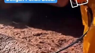 orang miskin di dunia dan orang kaya #jagalingkunaganmu