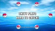 Pokemon Season 14: Pokèmon Black White Episode 7 Bahasa indonesia