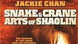 Snake and crane arts of shaolin