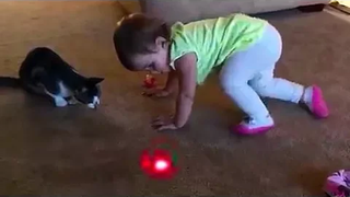 BABIES and CATS Chasing LASER Pointer วิดีโอตลกมากจนคุณตายได้ด้วยเสียงหัวเราะ