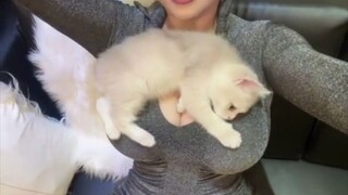 😹 My Cat’s Favorite Place to Sleep 😂 我的猫最喜欢的睡觉地方