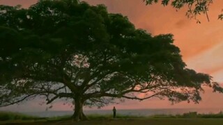 the last part that makes you cry 🥹🥹🥹