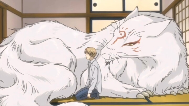 Sungguh memilukan karena Natsume tidak bisa melihat Sansan, tapi Sansan akan selalu menjaga Natsume.