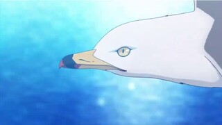 Laporan khusus keputusan animasi TV "Summer Pockets"