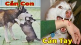 Thú Cưng TV | Gia Đình Ngáo Baby #2 | chó thông minh vui nhộn Pets | funny cute smart dog
