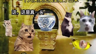"Mẫu vật bị mất" Tôi vô tình làm vỡ một chiếc bình trong bảo tàng và một chiếc đầu người lăn ra khỏi