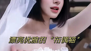 Vẻ đẹp Hàn Quốc gây sốc! Cô ấy thực sự trông giống một chú mèo Ragdoll xinh đẹp và thanh lịch!