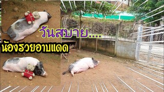 น้องรวยนอนอาบแดด🐖