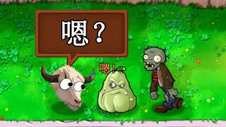 When a bull meets a pumpkin...