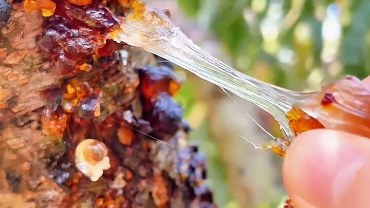 Trước khi ăn keo, nhớ xem kỹ nhé!