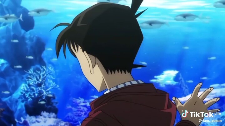 nhìn Shinichi cute quá đi