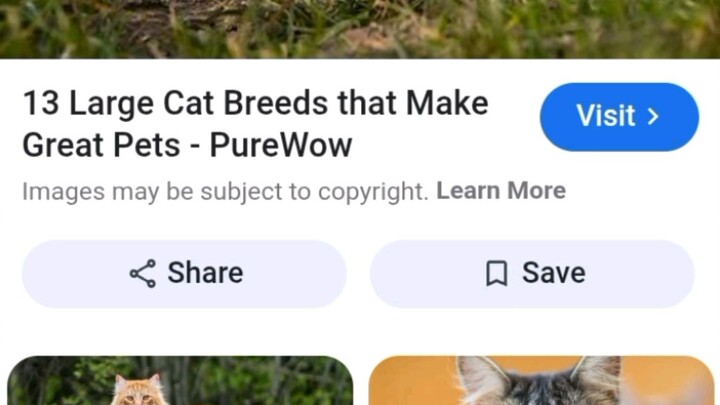 my best friend  Forever video