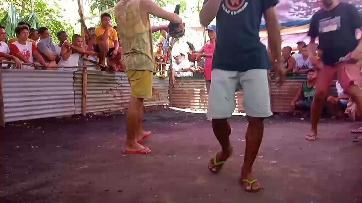 brgy. naga