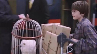 [Harry Potter HP] Burning to the scene | Mix and enjoy the magic feast Hogwarts will never graduate
