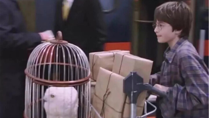 [Harry Potter HP] Burning to the scene | Mix and enjoy the magic feast Hogwarts will never graduate