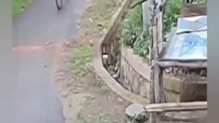 bikin ngakak 🤣🤣🤣🤣