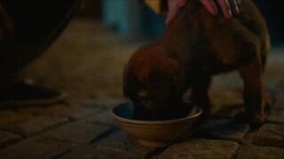 Back For You Episode 11 Eng Sub