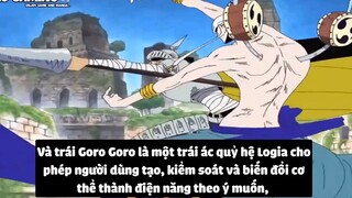 Top 10 Trái Logia Mạnh Nhất One Piece p5