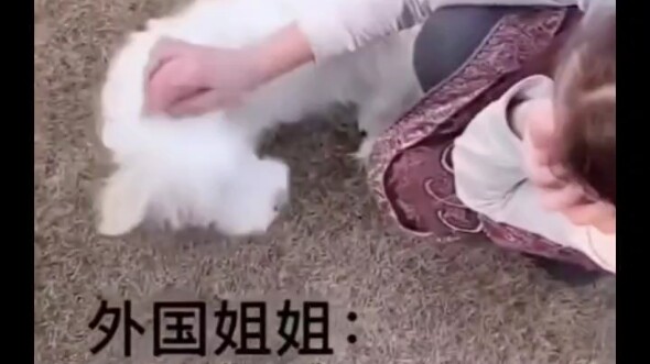 Aksen ini benar-benar autentik