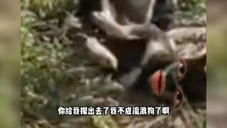 狗子：我沉默
