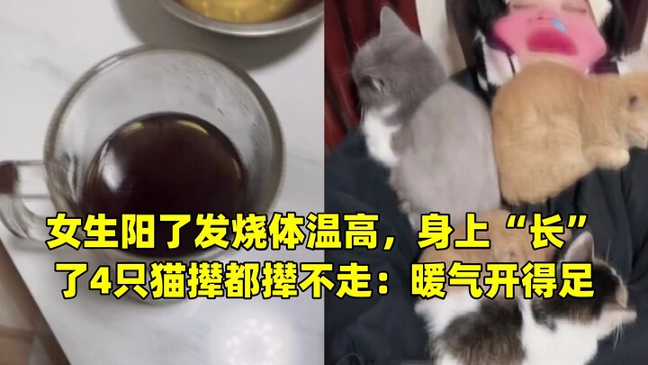 Nữ sinh dương tính sốt cao, trên người “mọc” ra 4 con mèo đuổi mãi cũng không đi: do bật sưởi quá mạ