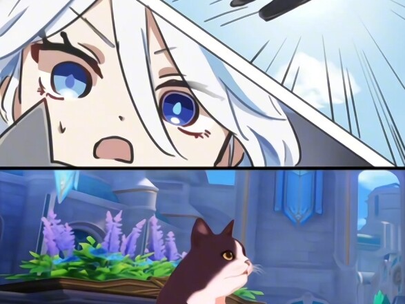 Who can resist a cute cat? (Personal editing, please don’t criticize if you don’t like it)