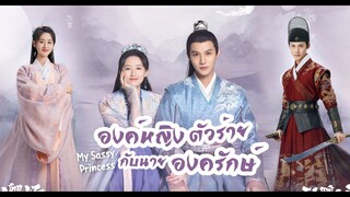 รีวิวซีรี่ส์. องค์หญิงตัวร้ายกับนายองครักษ์ (เจิ้งเย่เฉิง - หยวนปิงเหยียน)