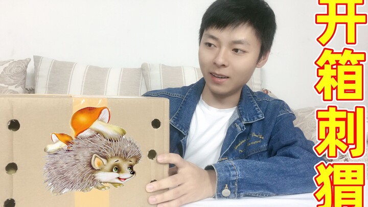 Hedgehog mở hộp: Mua một chú “nhím châu Phi” cực kỳ đáng yêu, bị nhím đâm thì sẽ thế nào?