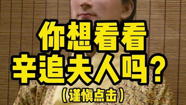 古猫丨她是湖南最富的女人，辛追！