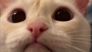 “You guys can’t handle it!!”⑧